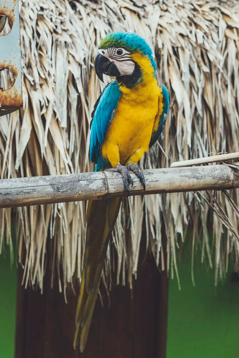 Colombia