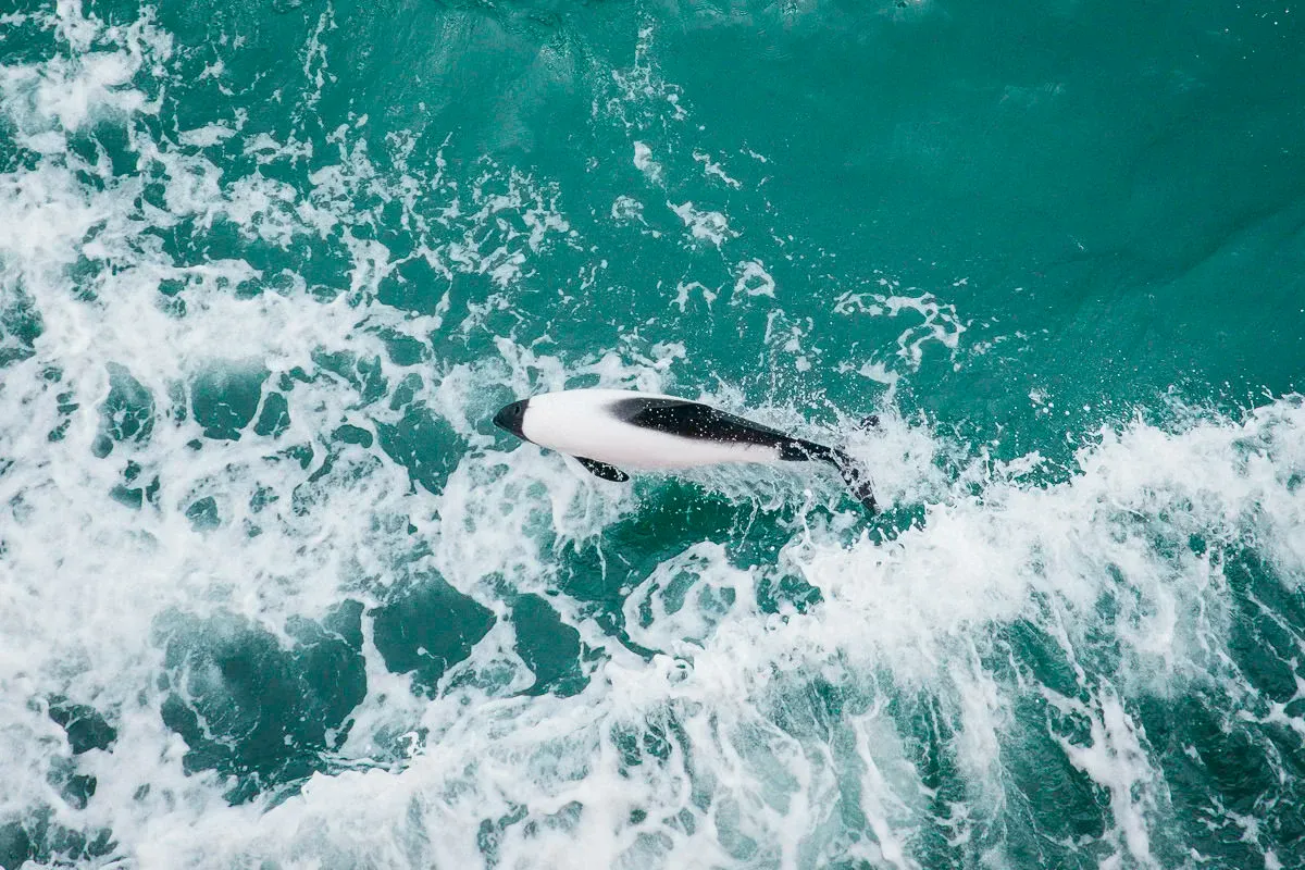 Chile — frame 10