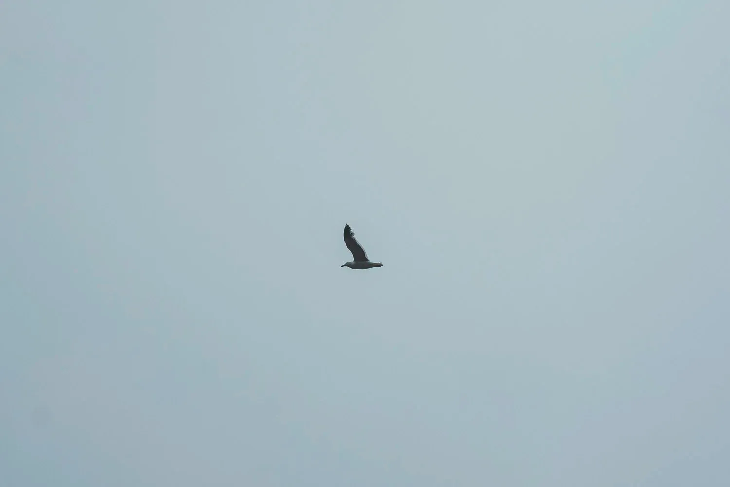 USA — frame 10