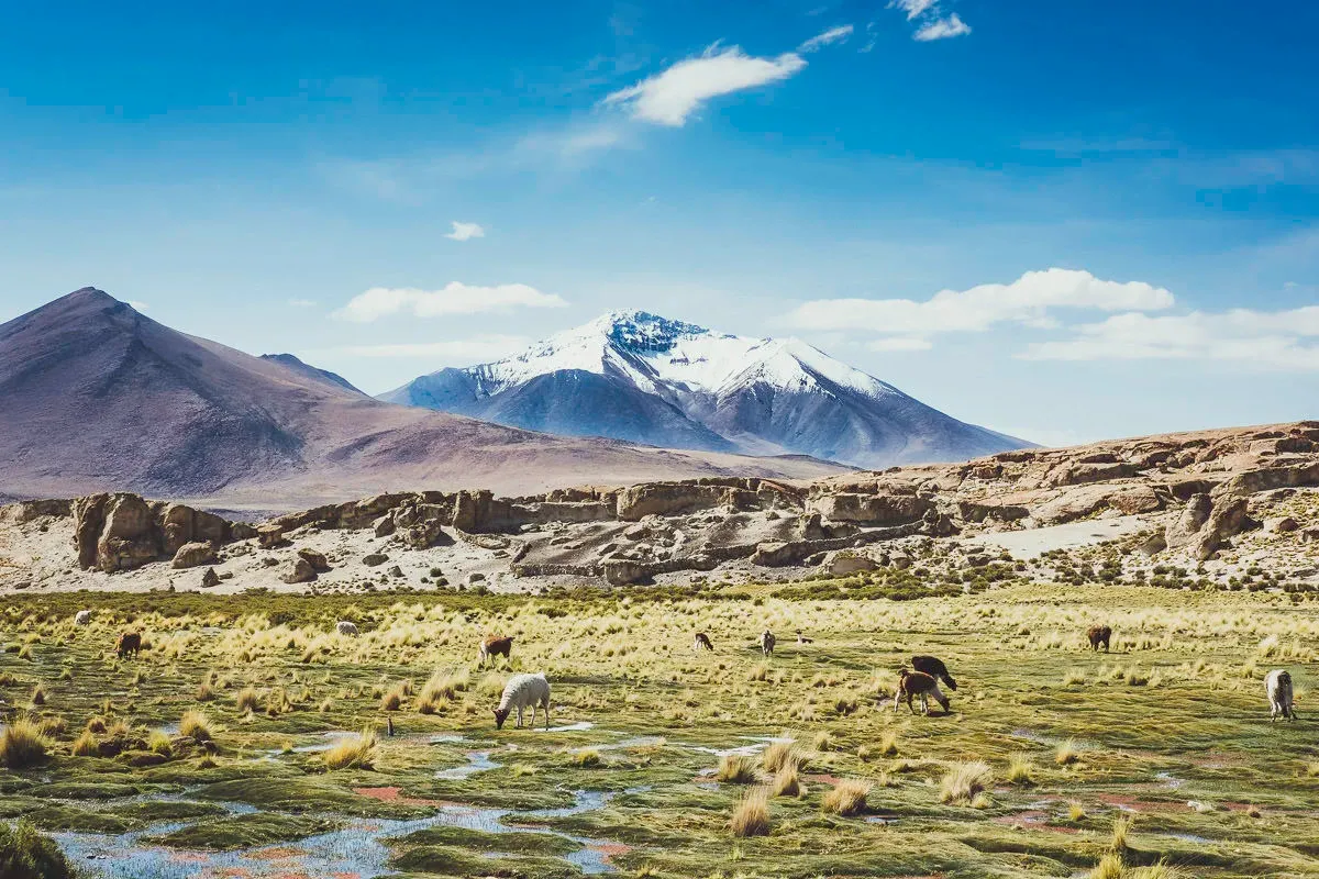 Bolivia — frame 11