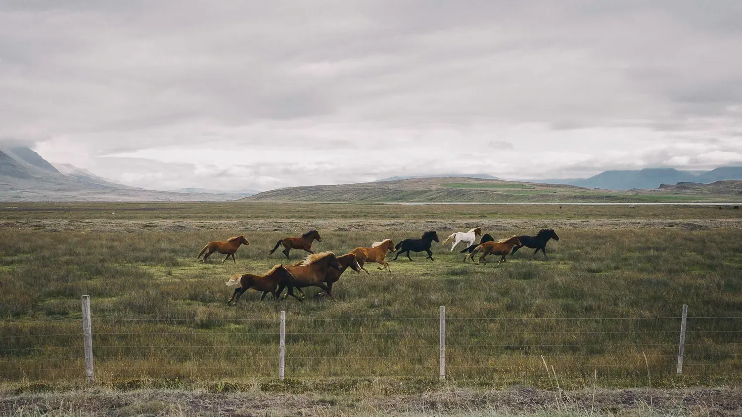 Iceland — frame 13