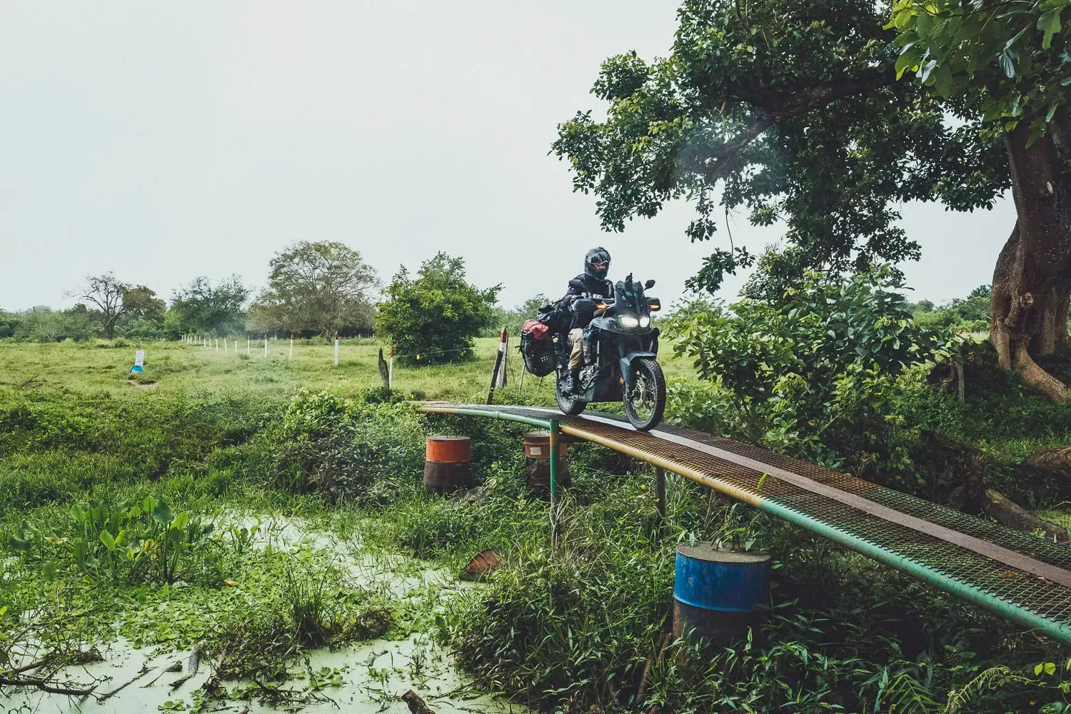Colombia — frame 20