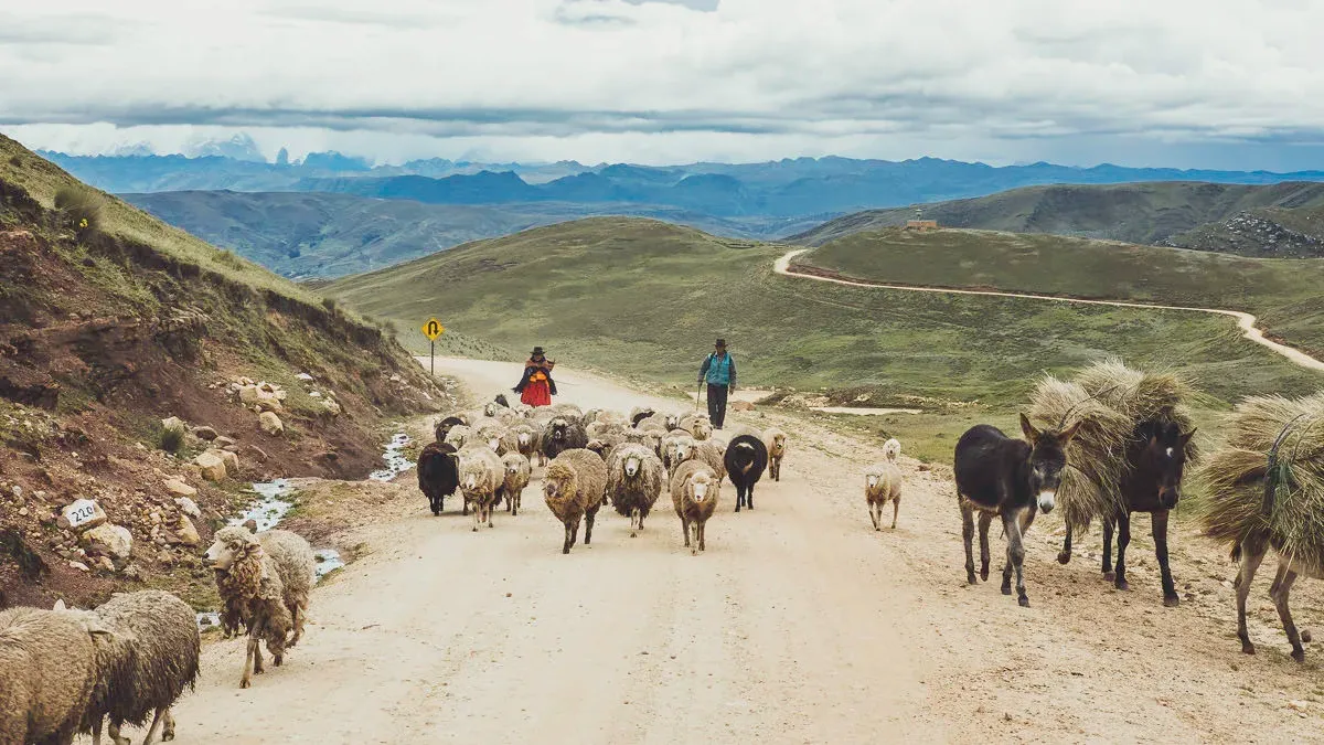 Peru — frame 27