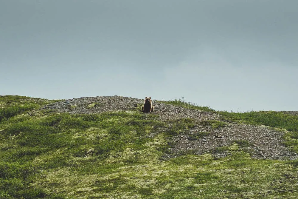 Canada — frame 27