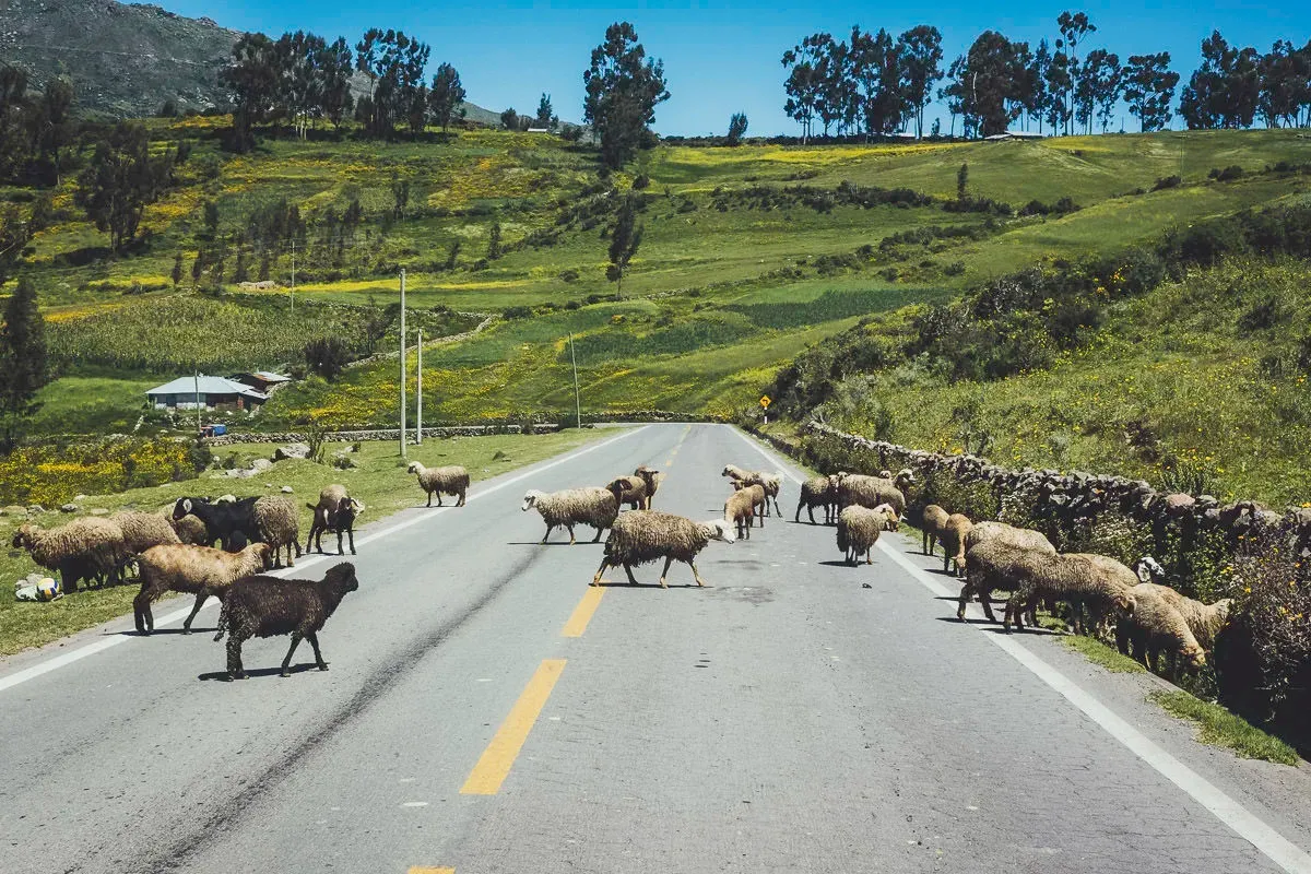 Peru — frame 29